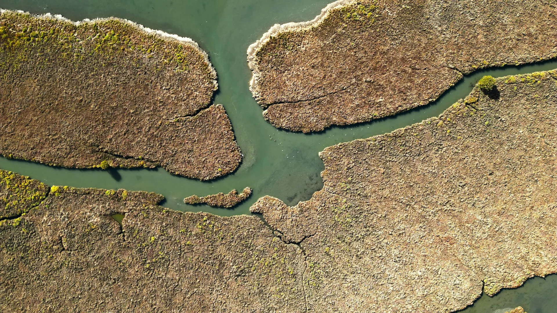Aerial view of the Okavango Delta showing winding waterways and green islands in Botswana
