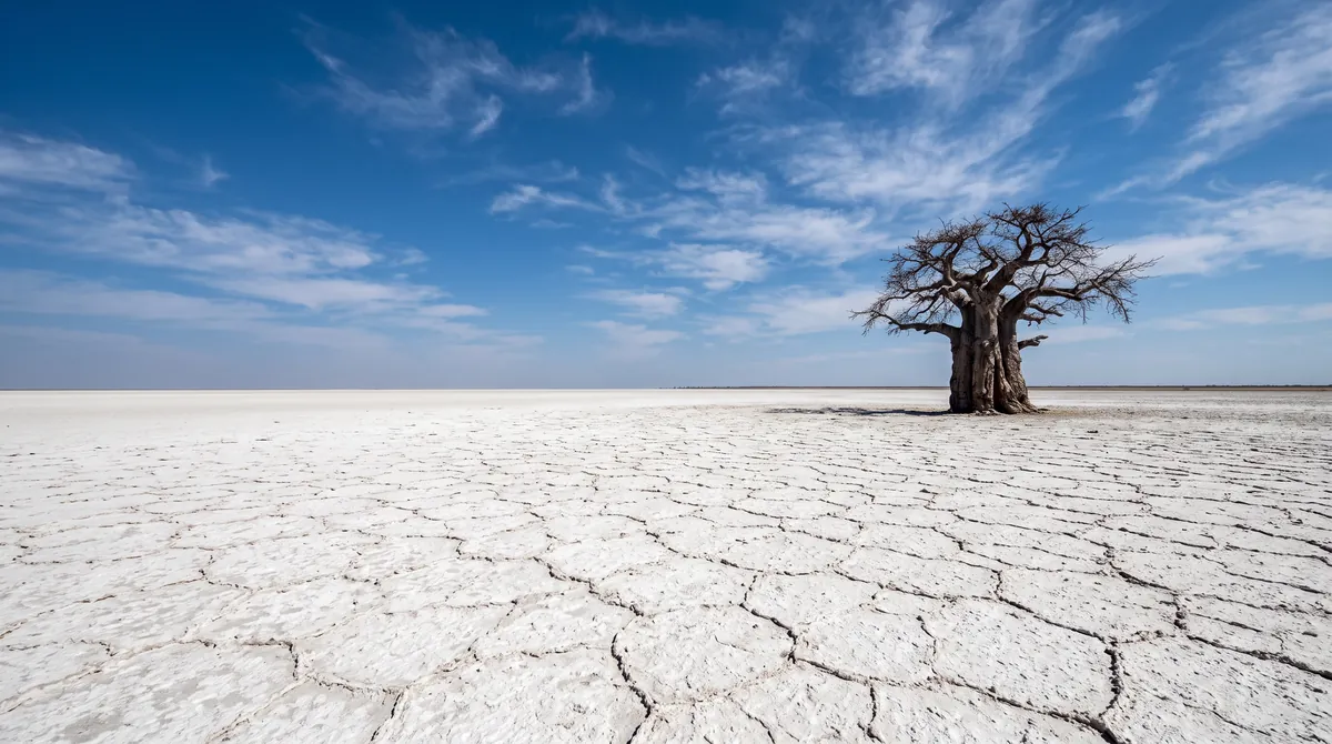 Makgadikgadi Pans in Botswana